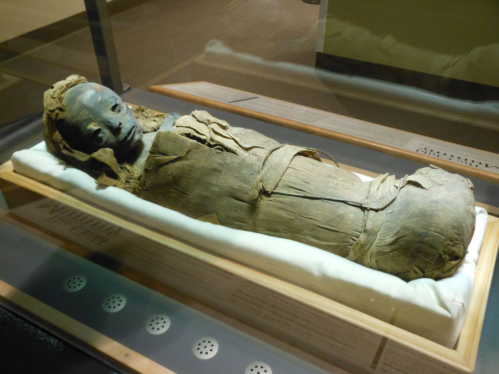 Child mummy at St. Louis Science Center